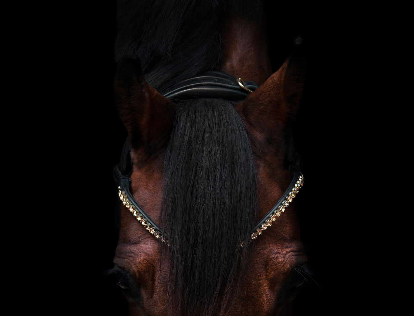 Elegant Browband