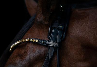 Elegant Browband