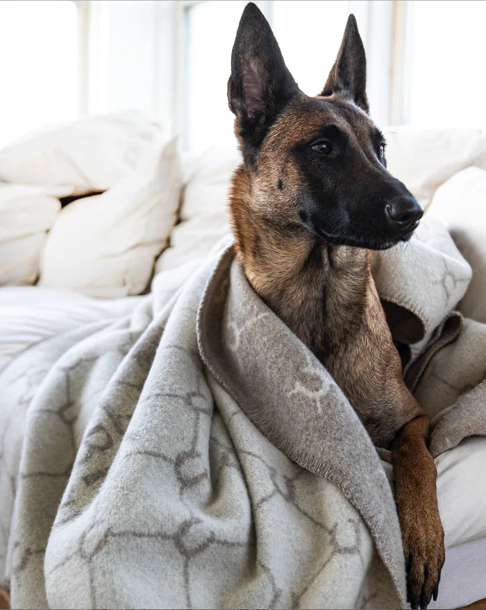 LUXE MERINO THROW BEIGE