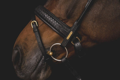Olympic Bridle