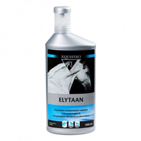 Equistro Elytaan