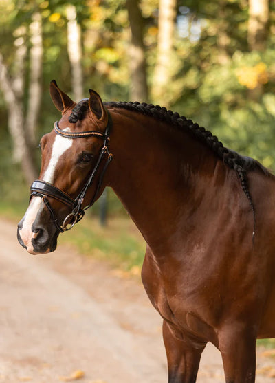 MRS REGULAR ITALIAN LEATHER BRIDLE - ROSÉ