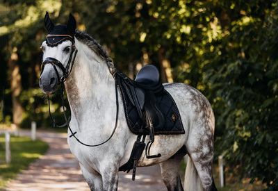 MRS REGULAR ITALIAN LEATHER BRIDLE - ROSÉ